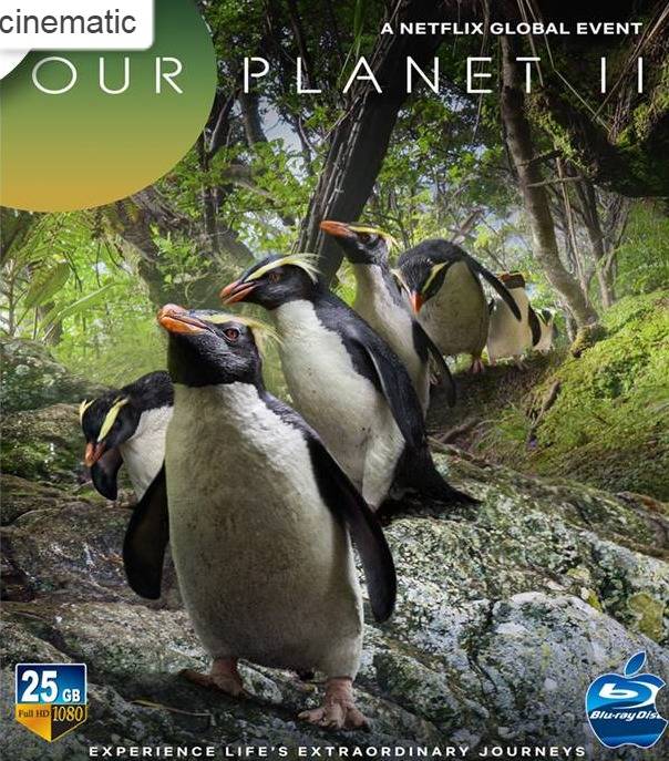 Ppsnabha Bachelor 2019 Streaming Bachelor Bachelorette Bachelor In